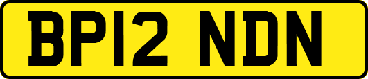 BP12NDN
