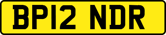 BP12NDR