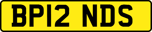 BP12NDS