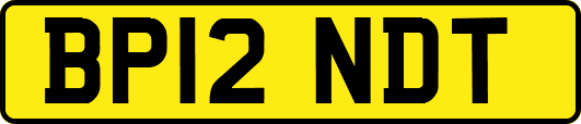 BP12NDT