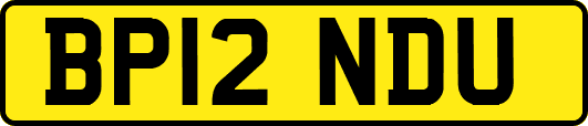 BP12NDU