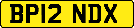 BP12NDX