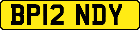 BP12NDY
