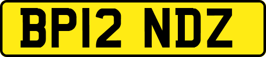 BP12NDZ