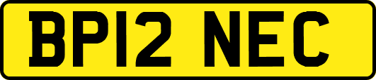 BP12NEC