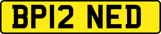 BP12NED