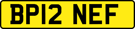 BP12NEF