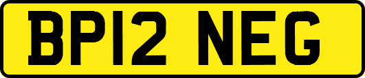 BP12NEG