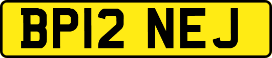 BP12NEJ
