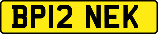 BP12NEK