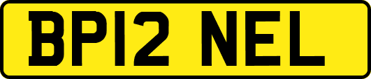 BP12NEL