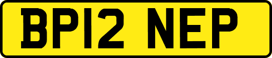 BP12NEP