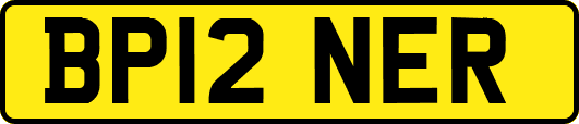 BP12NER