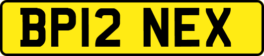 BP12NEX