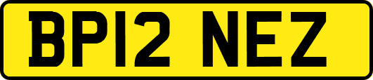 BP12NEZ