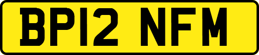 BP12NFM
