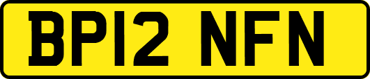 BP12NFN