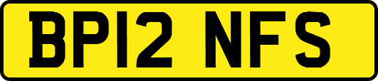 BP12NFS