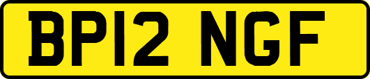 BP12NGF