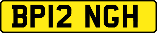 BP12NGH
