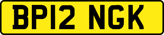 BP12NGK