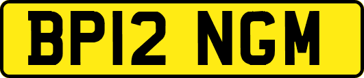 BP12NGM