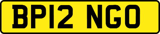 BP12NGO