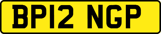 BP12NGP