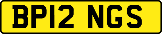 BP12NGS