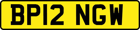 BP12NGW