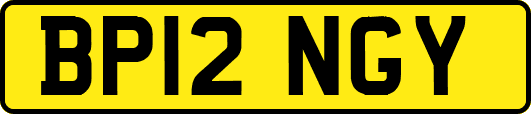 BP12NGY