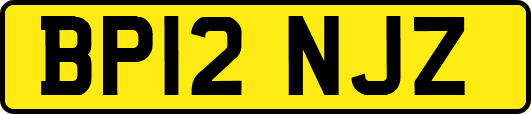 BP12NJZ