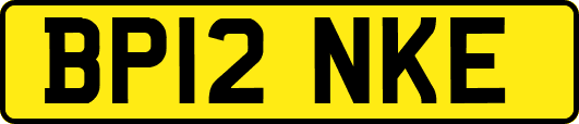 BP12NKE