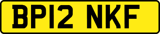 BP12NKF