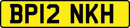 BP12NKH