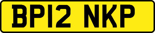 BP12NKP