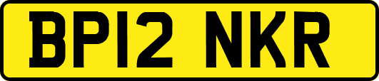 BP12NKR