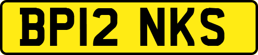 BP12NKS