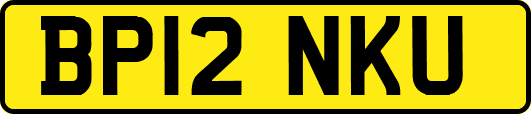 BP12NKU