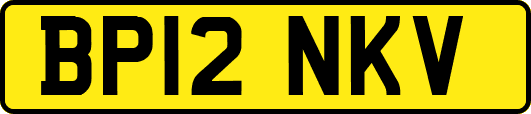 BP12NKV