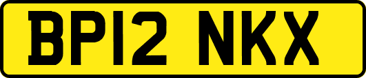 BP12NKX