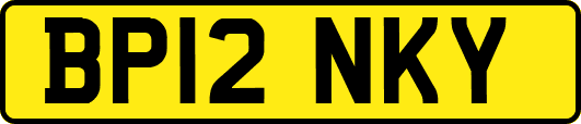 BP12NKY