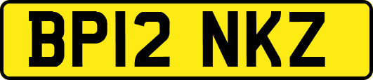 BP12NKZ