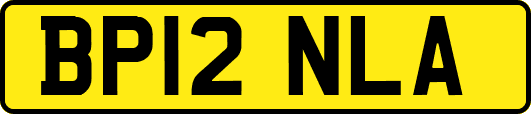 BP12NLA