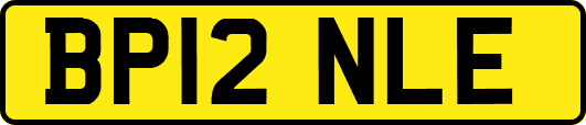 BP12NLE