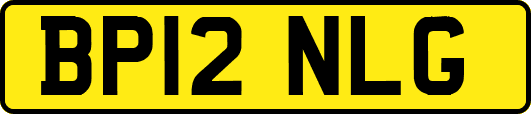 BP12NLG