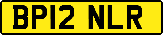 BP12NLR