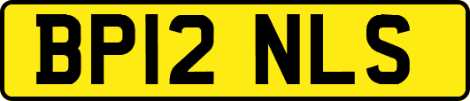 BP12NLS