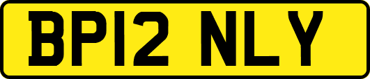 BP12NLY