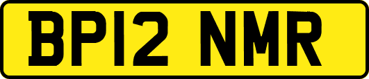 BP12NMR